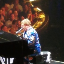 All About What's Fun