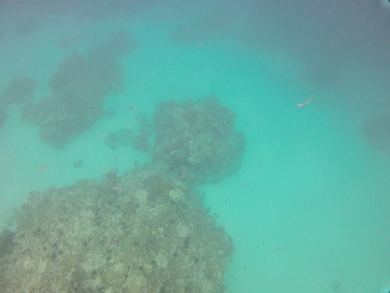 GOPR0331