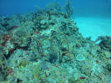 GOPR0018