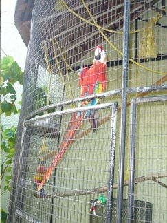 P1000815