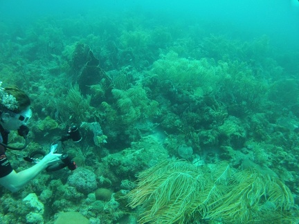 GOPR0284